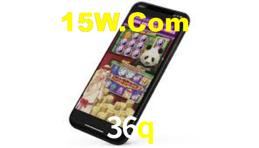 36q,36q.com